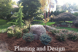 Planting and Design