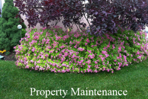 Fifth Ave Landscaping, Fifth Avenue Landscaping